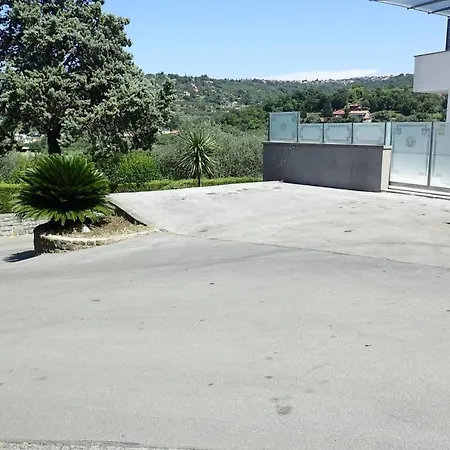 Medusa Πορτορόζ